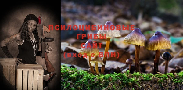 spice Алексин