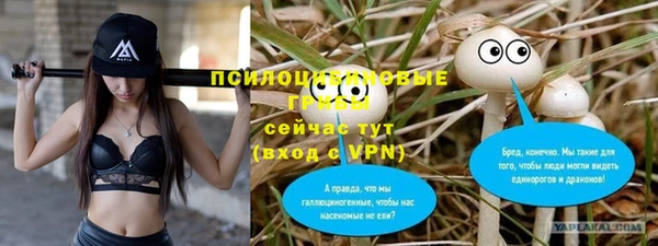 spice Алексин
